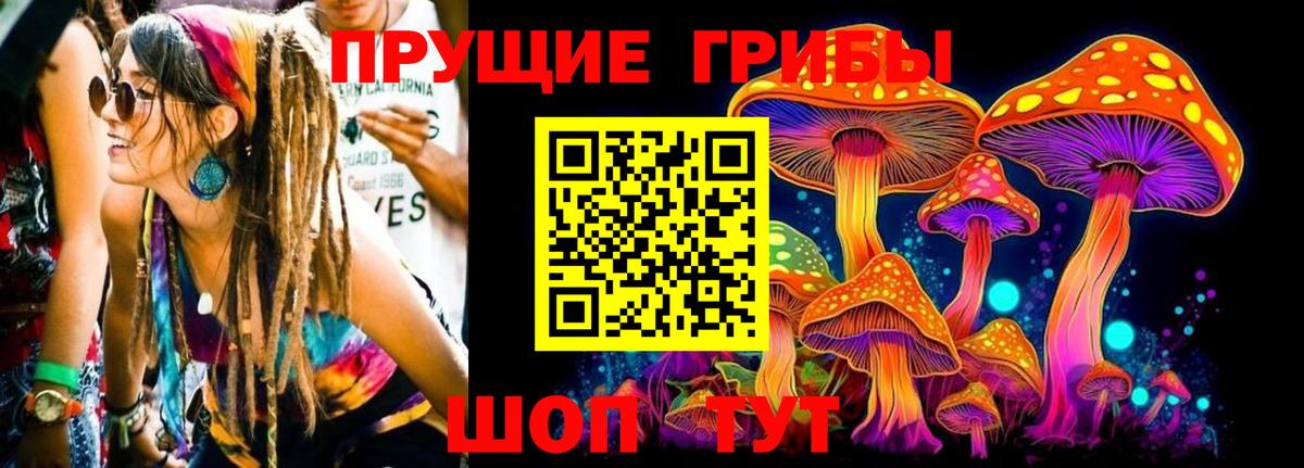 Псилоцибиновые грибы мицелий  Вход с VPN  Сочи  Галлюциногенные грибы MAGIC MUSHROOMS 